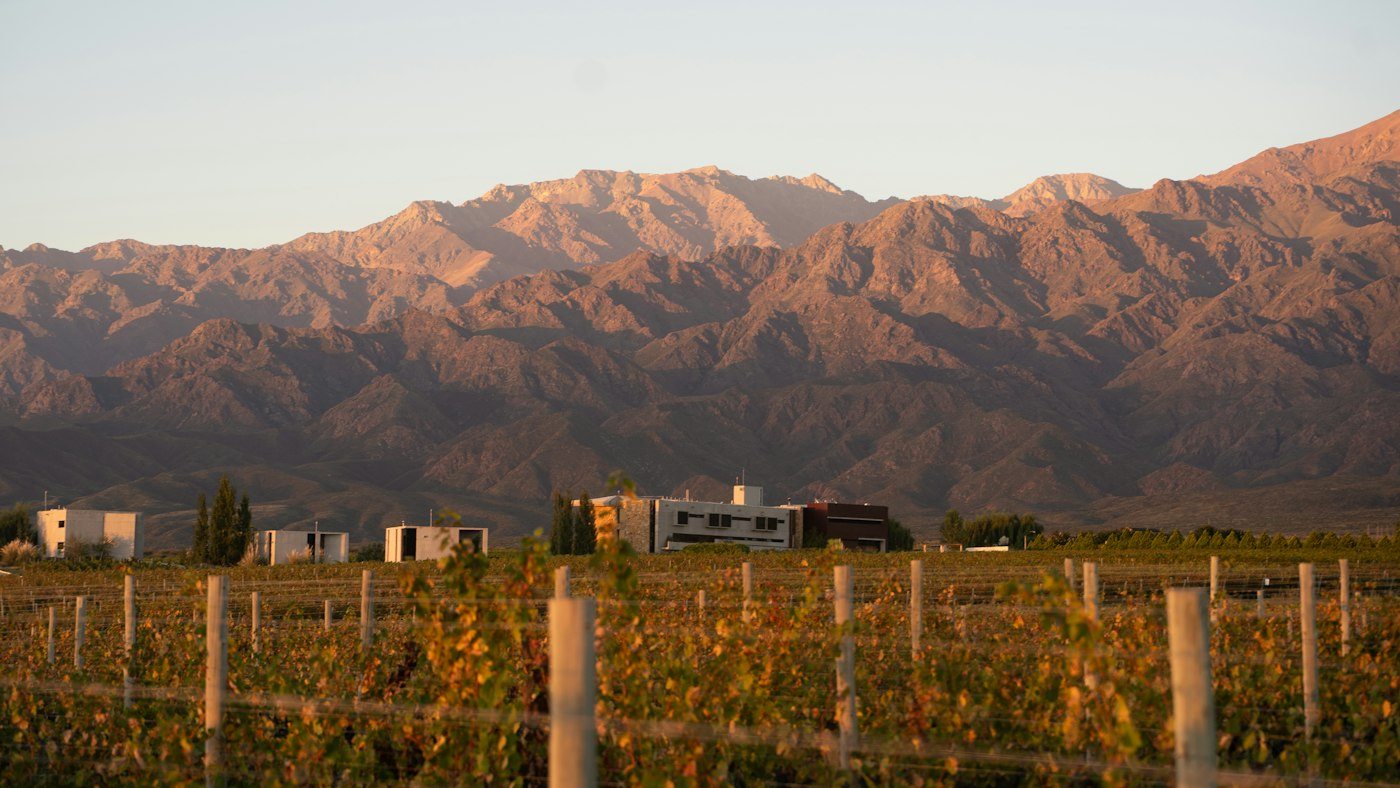 Viñedos al atardecer en Mendoza, Argentina