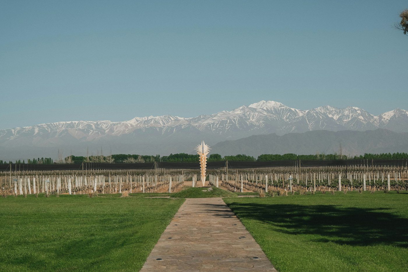 Bodega Norton vineyard, Perdriel, Mendoza, Argentina