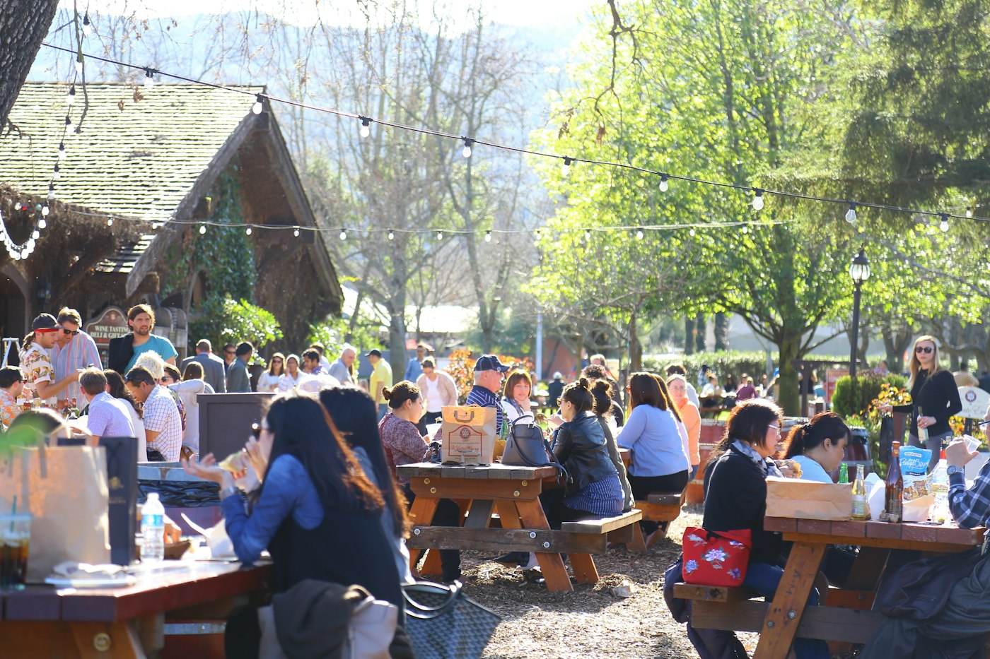 Visitors tasting wine in Napa Valley, California