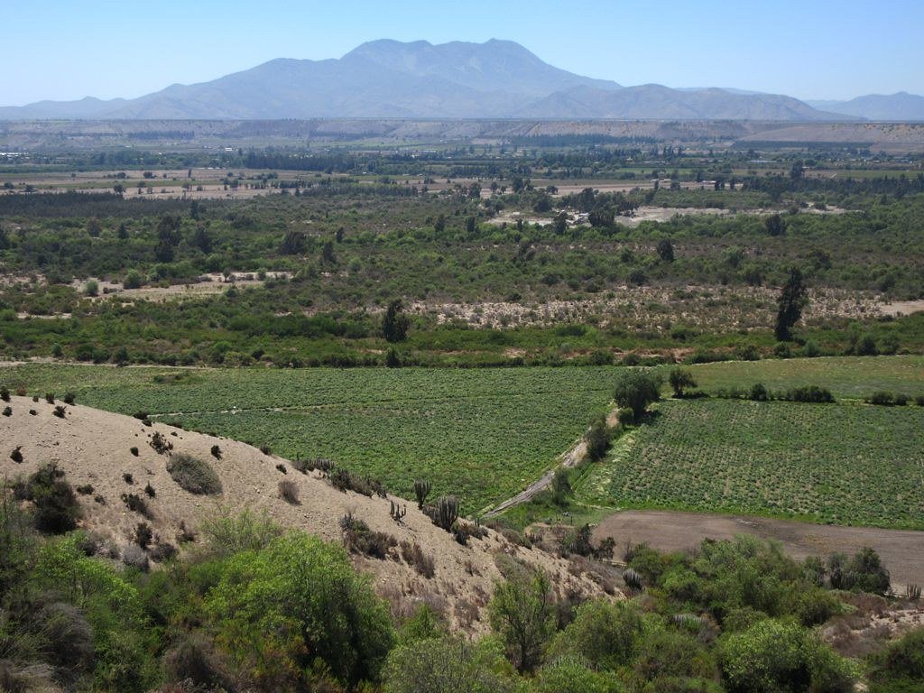 Valle de Limarí desde Ovalle, Chile.