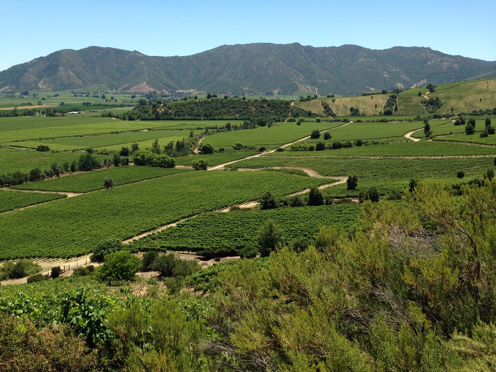 Viña Montes, Apalta, Valle de Colchagua, Chile.