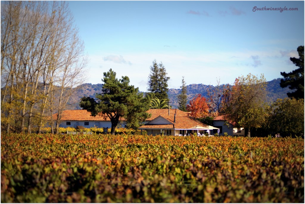 Viña Viu Manent, Valle de Colchagua, Chile.