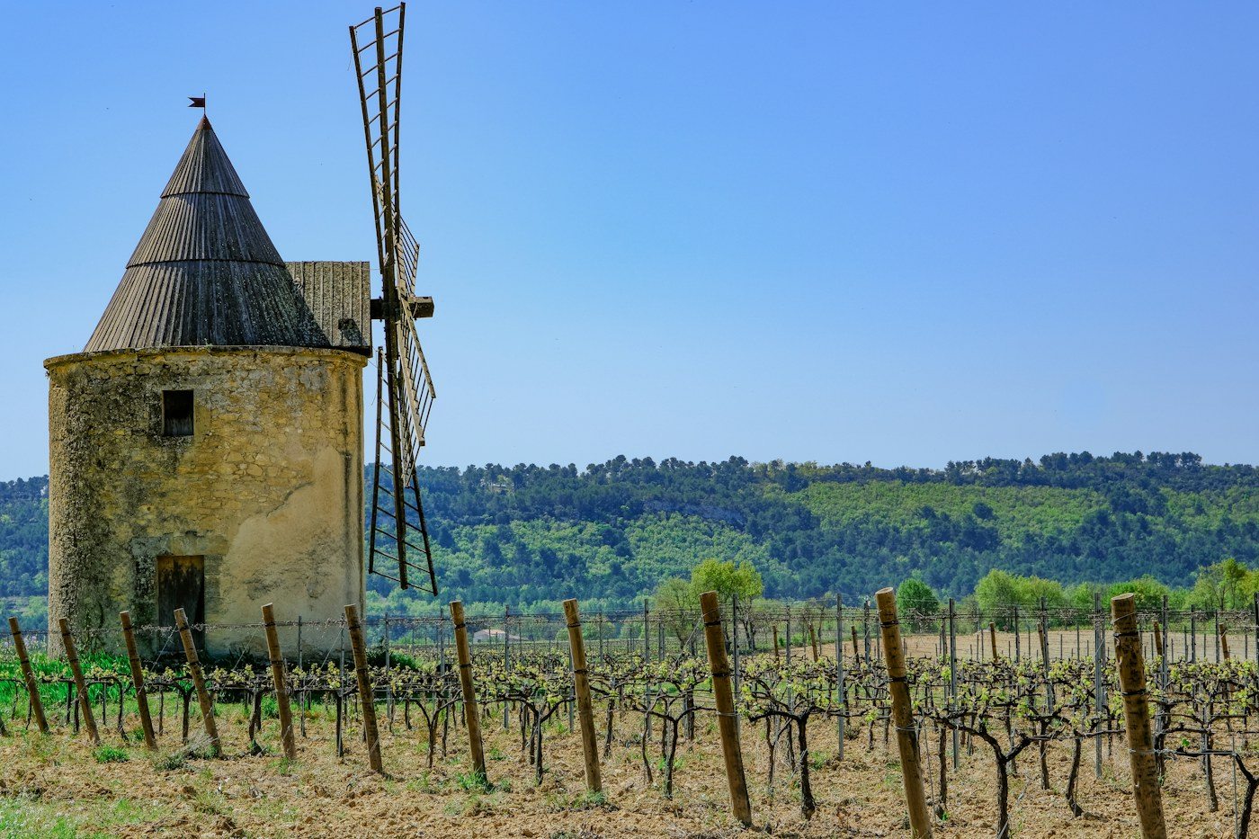 Molino entre viñedos de Aix-en-Provence, Francia