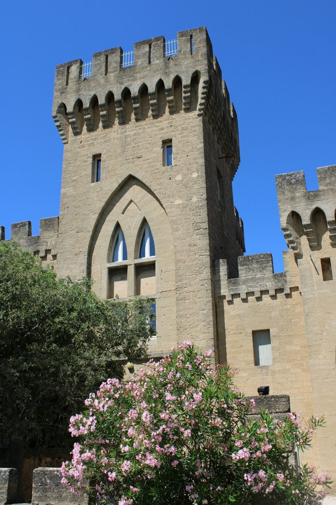 Patrimonio de Châteauneuf-du-Pape, valle del Ródano