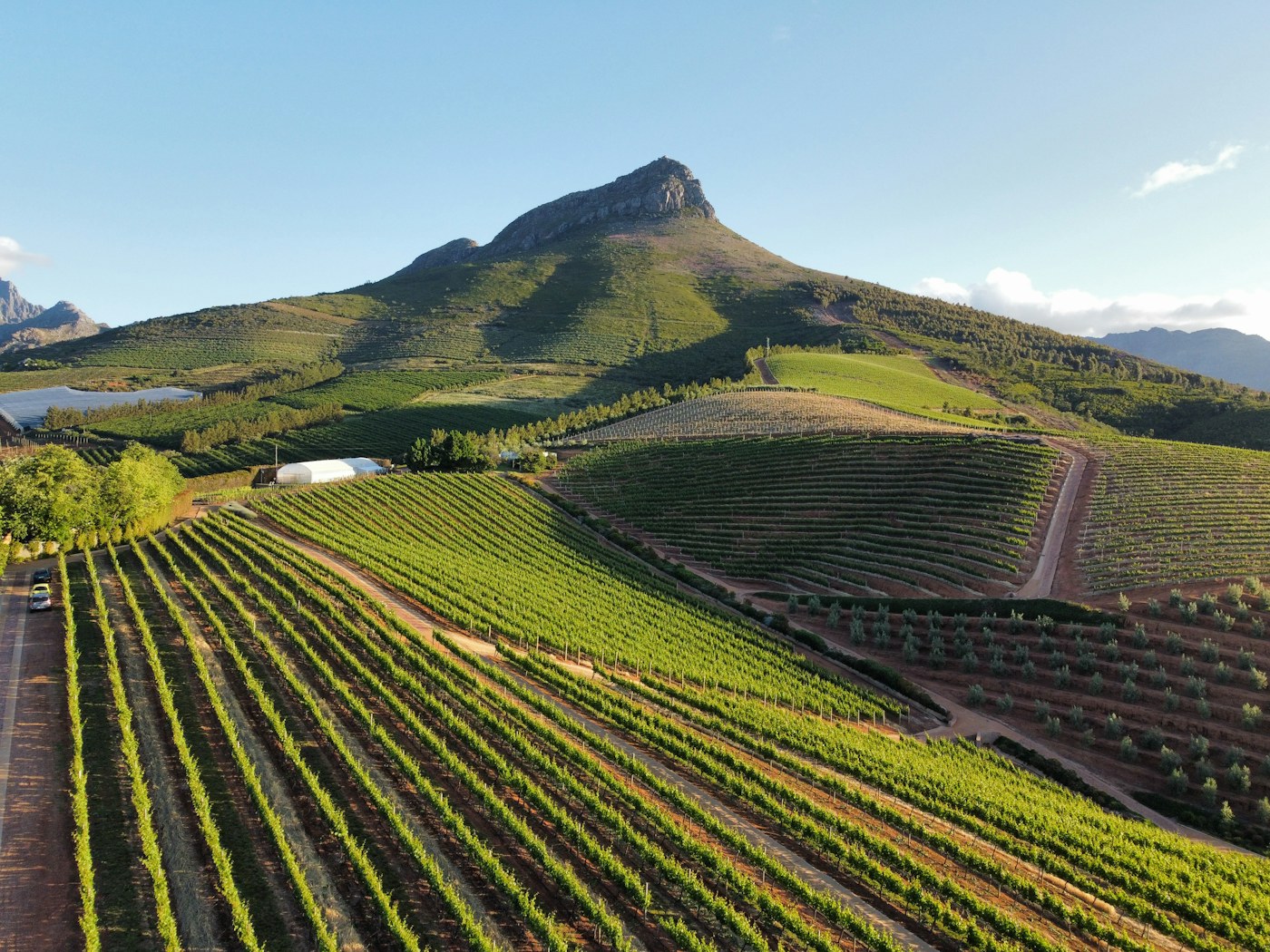 Paisaje vitivinícola de Stellenbosch, Sudáfrica