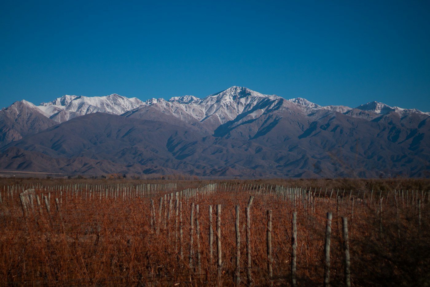 Cordillera desde el Valle de Uco, Tunuyán, Mendoza