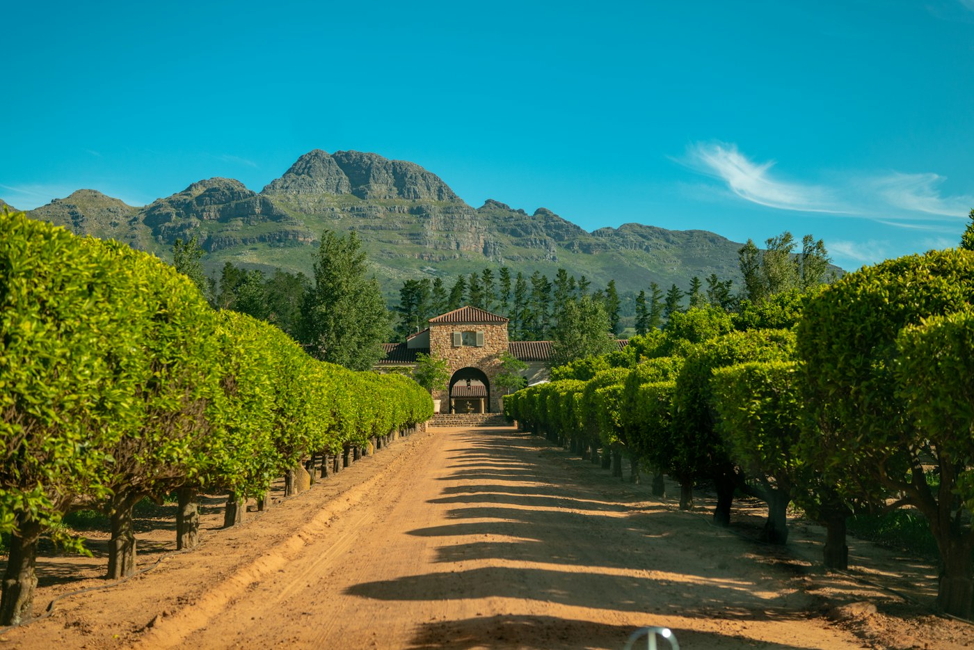 Camino de acceso a Waterford Estate, Stellenbosch, Sudáfrica